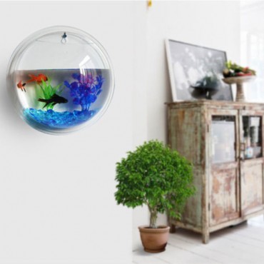 Beautiful Aquarium On Wall